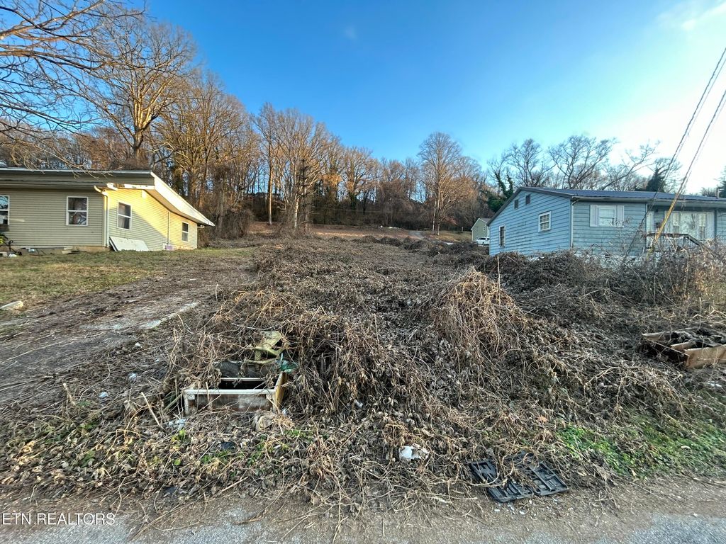 Photo of 4258 Ivy Ave, Knoxville, TN 37914 (MLS # 1326174)