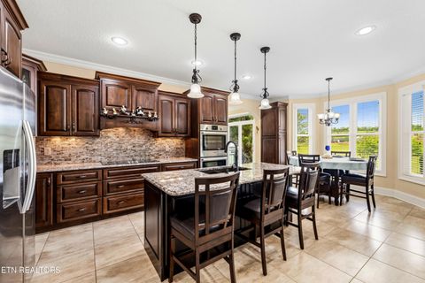 Tiny photo for 2725 River Island Boulevard Blvd, Kodak, TN 37764 (MLS # 1337011)