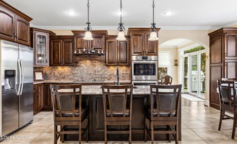 Tiny photo for 2725 River Island Boulevard Blvd, Kodak, TN 37764 (MLS # 1337011)