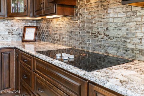 Tiny photo for 2725 River Island Boulevard Blvd, Kodak, TN 37764 (MLS # 1337011)