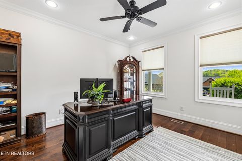 Tiny photo for 2725 River Island Boulevard Blvd, Kodak, TN 37764 (MLS # 1337011)