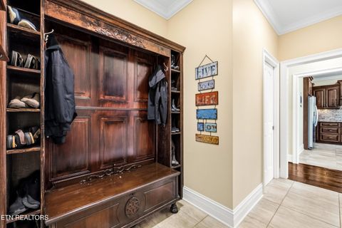 Tiny photo for 2725 River Island Boulevard Blvd, Kodak, TN 37764 (MLS # 1337011)