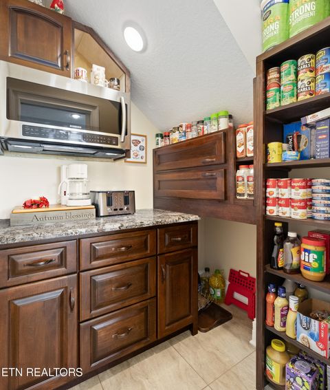 Tiny photo for 2725 River Island Boulevard Blvd, Kodak, TN 37764 (MLS # 1337011)