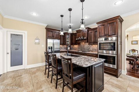 Tiny photo for 2725 River Island Boulevard Blvd, Kodak, TN 37764 (MLS # 1337011)