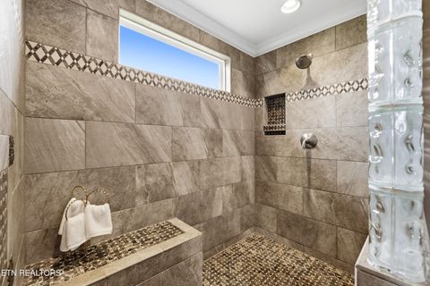 Tiny photo for 2725 River Island Boulevard Blvd, Kodak, TN 37764 (MLS # 1337011)