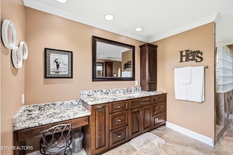 Tiny photo for 2725 River Island Boulevard Blvd, Kodak, TN 37764 (MLS # 1337011)