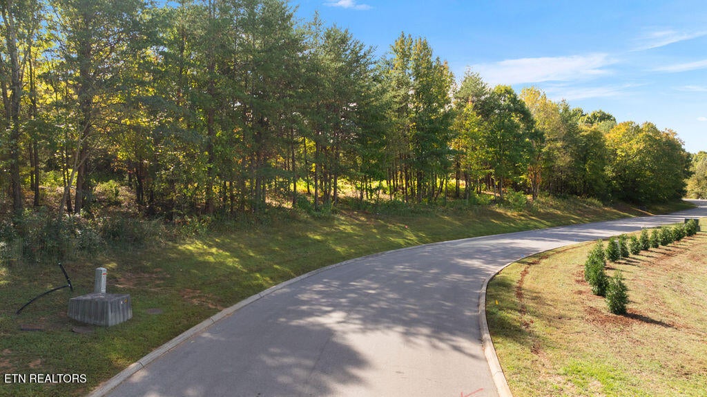 Red Wing Drive