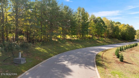 Tiny photo for Red Wing Drive, Vonore, TN 37885 (MLS # 1359719)