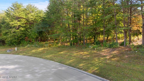 Photo of Red Wing Drive, Vonore, TN 37885 (MLS # 1359719)