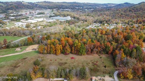 Tiny photo for Johnson Rd, Maynardville, TN 37807 (MLS # 1320743)