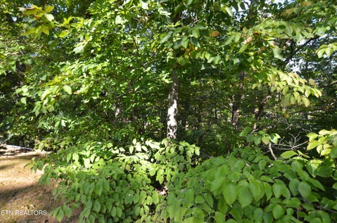 Tiny photo for Hawks Nest Way, Sevierville, TN 37862 (MLS # 1355705)