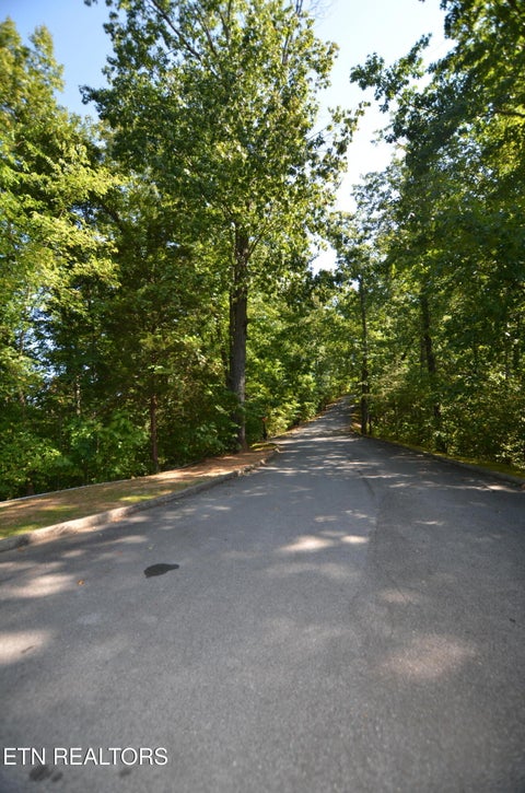 Tiny photo for Hawks Nest Way, Sevierville, TN 37862 (MLS # 1355705)