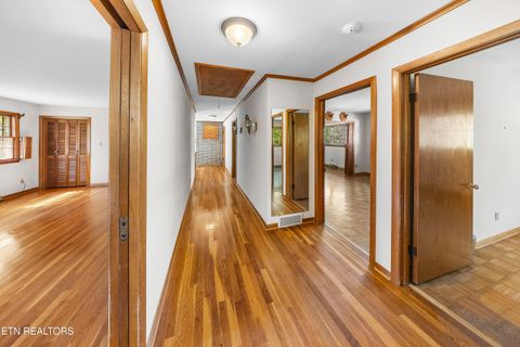 Tiny photo for 3621 Taliluna Ave, Knoxville, TN 37919 (MLS # 1337376)