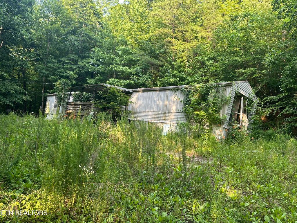 Photo of 480 Half Moon Rd, Oliver Springs, TN 37840 (MLS # 1304481)