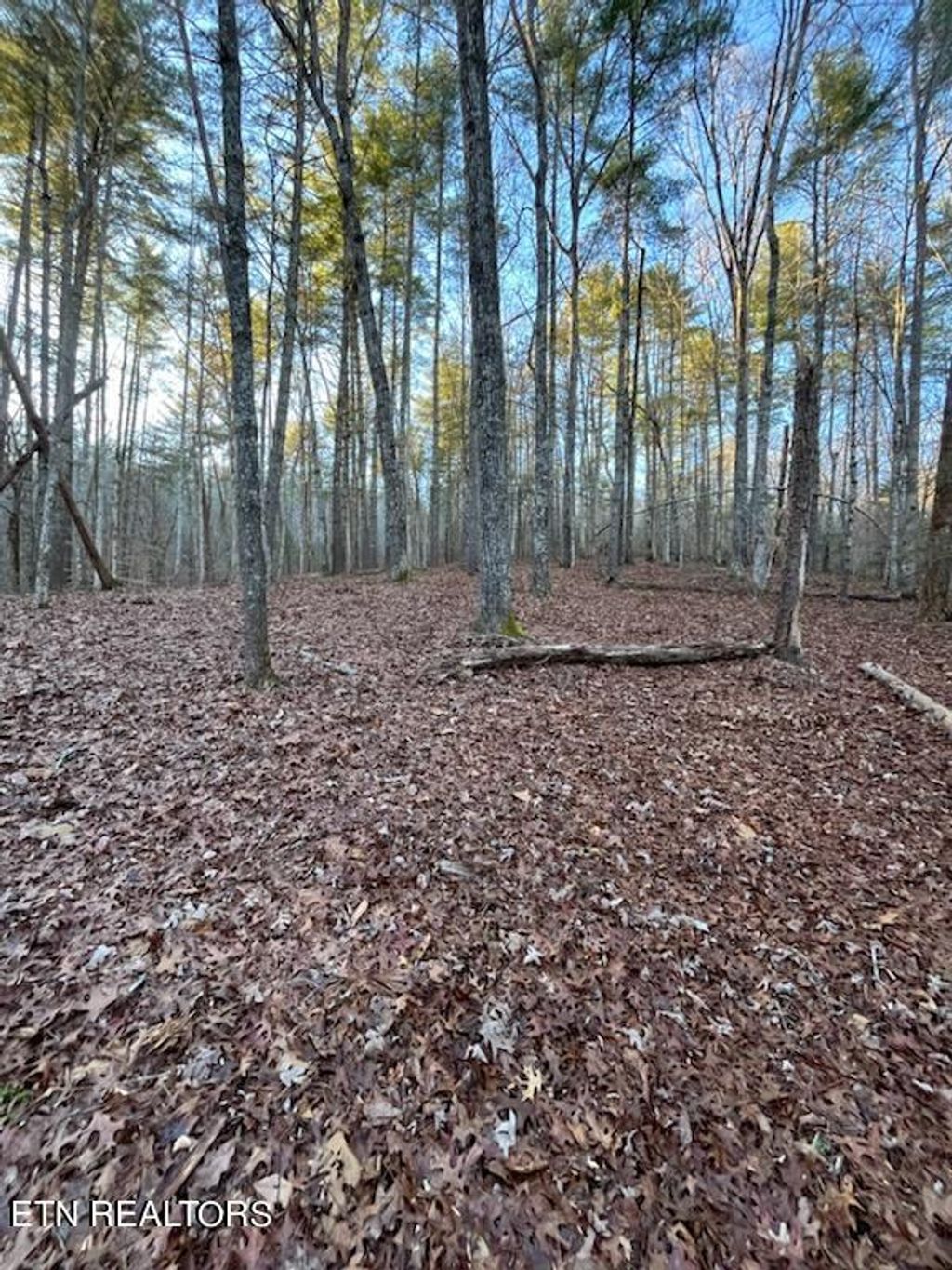 Photo of Overlook View Rd, Walland, TN 37886 (MLS # 1247666)