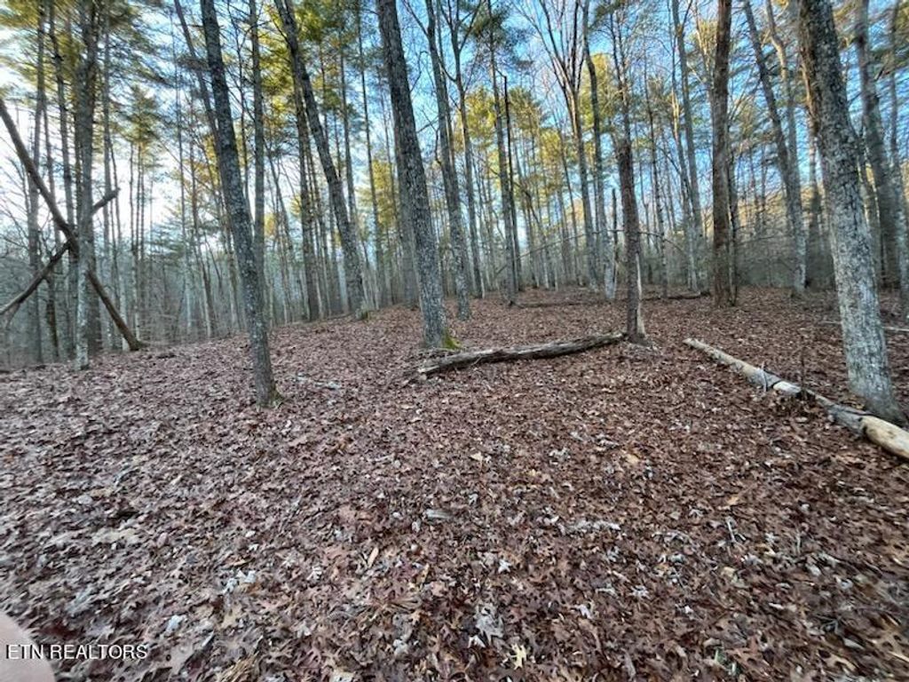 Photo of Overlook View Rd, Walland, TN 37886 (MLS # 1247666)