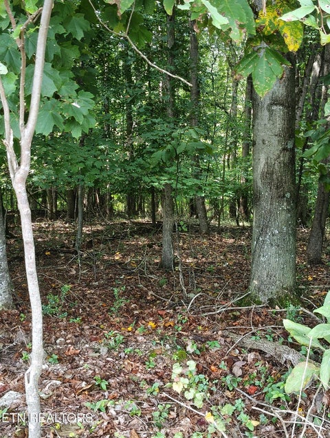 Tiny photo for 9500 E Matlock Bend Rd, Loudon, TN 37774 (MLS # 1354943)