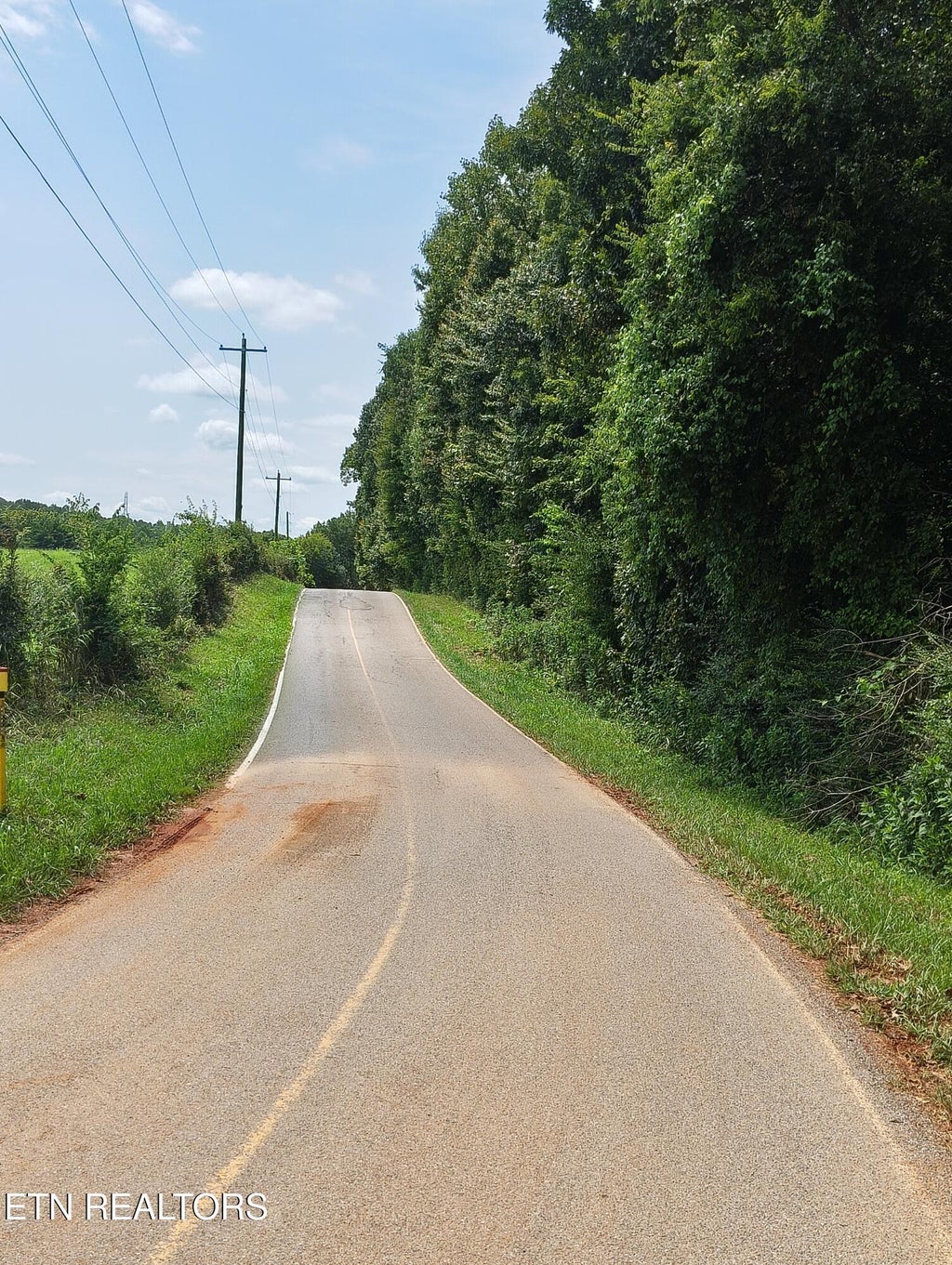 Photo of 9500 E Matlock Bend Rd, Loudon, TN 37774 (MLS # 1354943)
