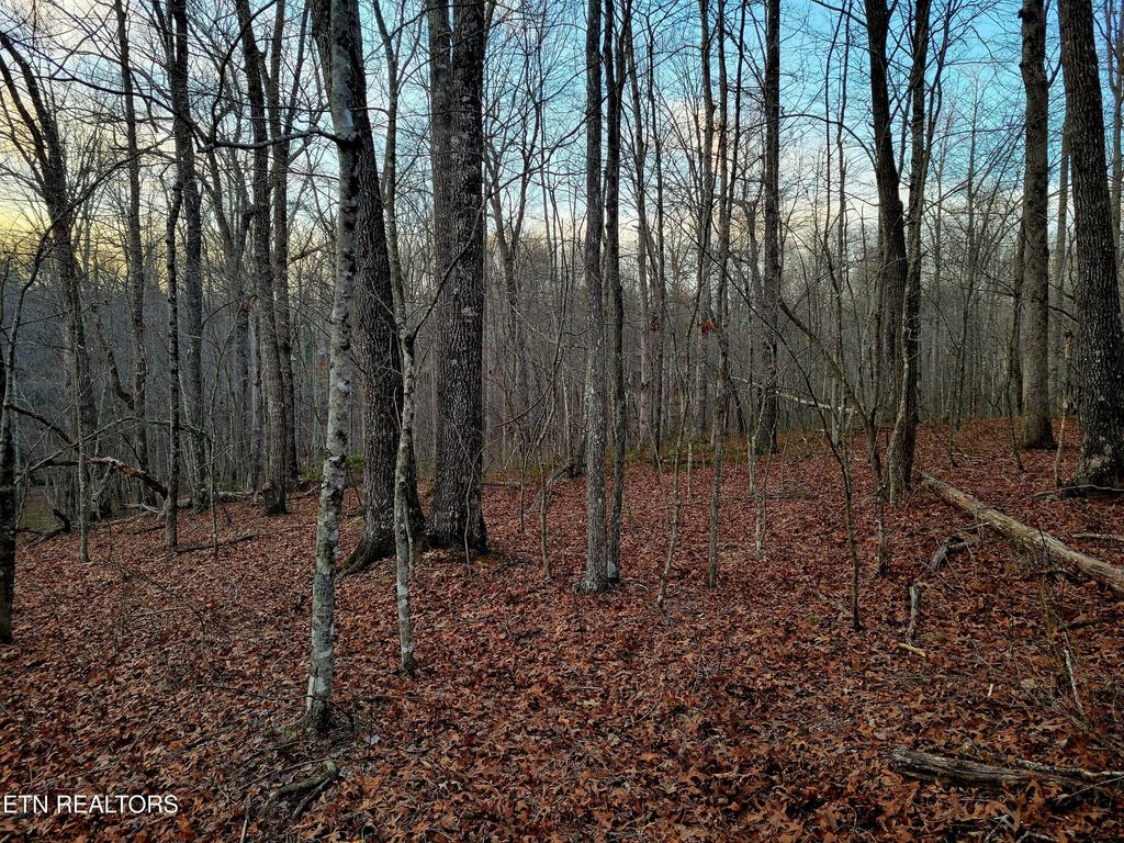 Photo of 14 Creek Place, Monterey, TN 38574 (MLS # 1331728)