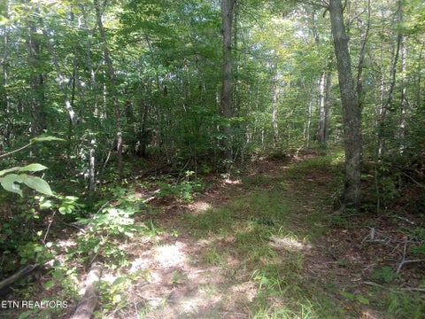 Featured picture for the property 1239147
