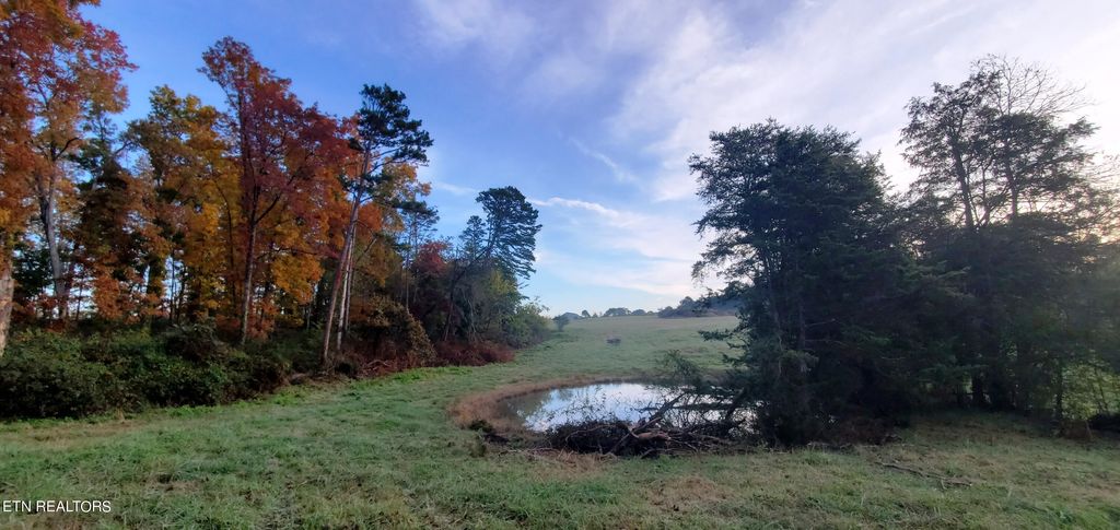 Photo of 5 Majestic Meadow Way, Corryton, TN 37721 (MLS # 1277363)