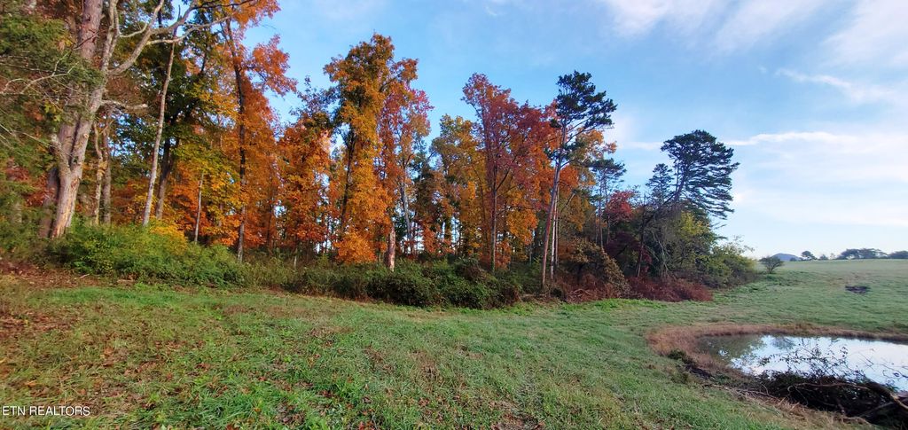 Photo of 5 Majestic Meadow Way, Corryton, TN 37721 (MLS # 1277363)