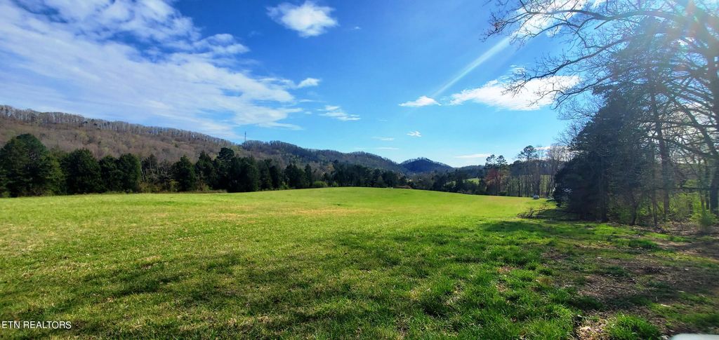 Photo of 5 Majestic Meadow Way, Corryton, TN 37721 (MLS # 1277363)