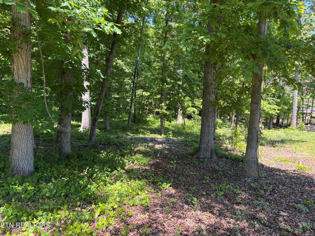 Photo of E Shore Drive, Rockwood, TN 37854 (MLS # 1340311)