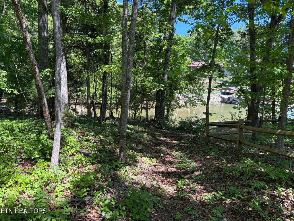 Photo of E Shore Drive, Rockwood, TN 37854 (MLS # 1340311)
