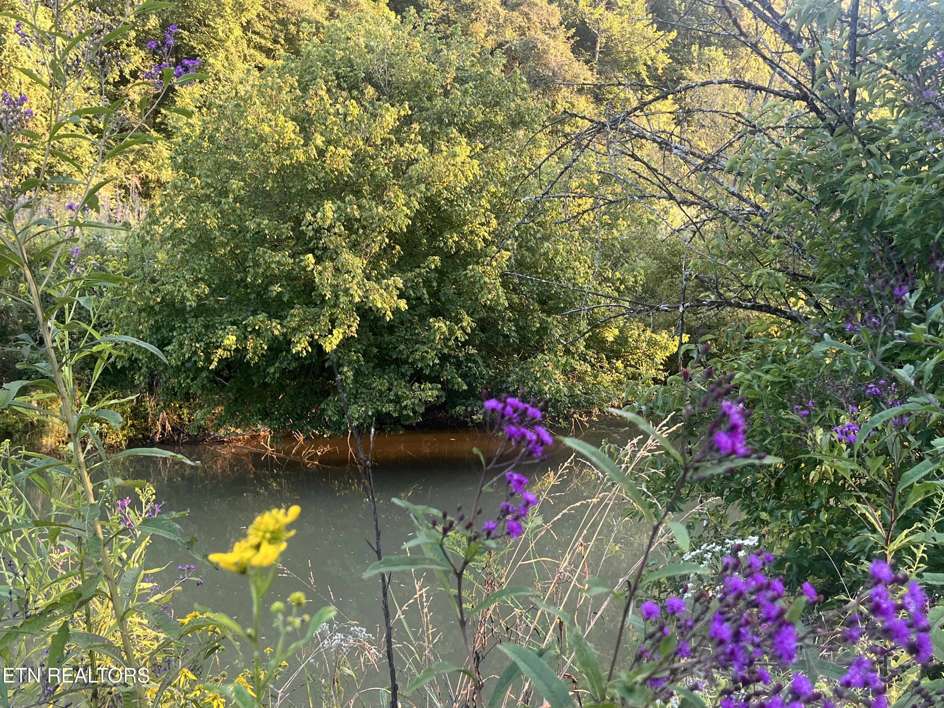 E Bullrun Valley Drive