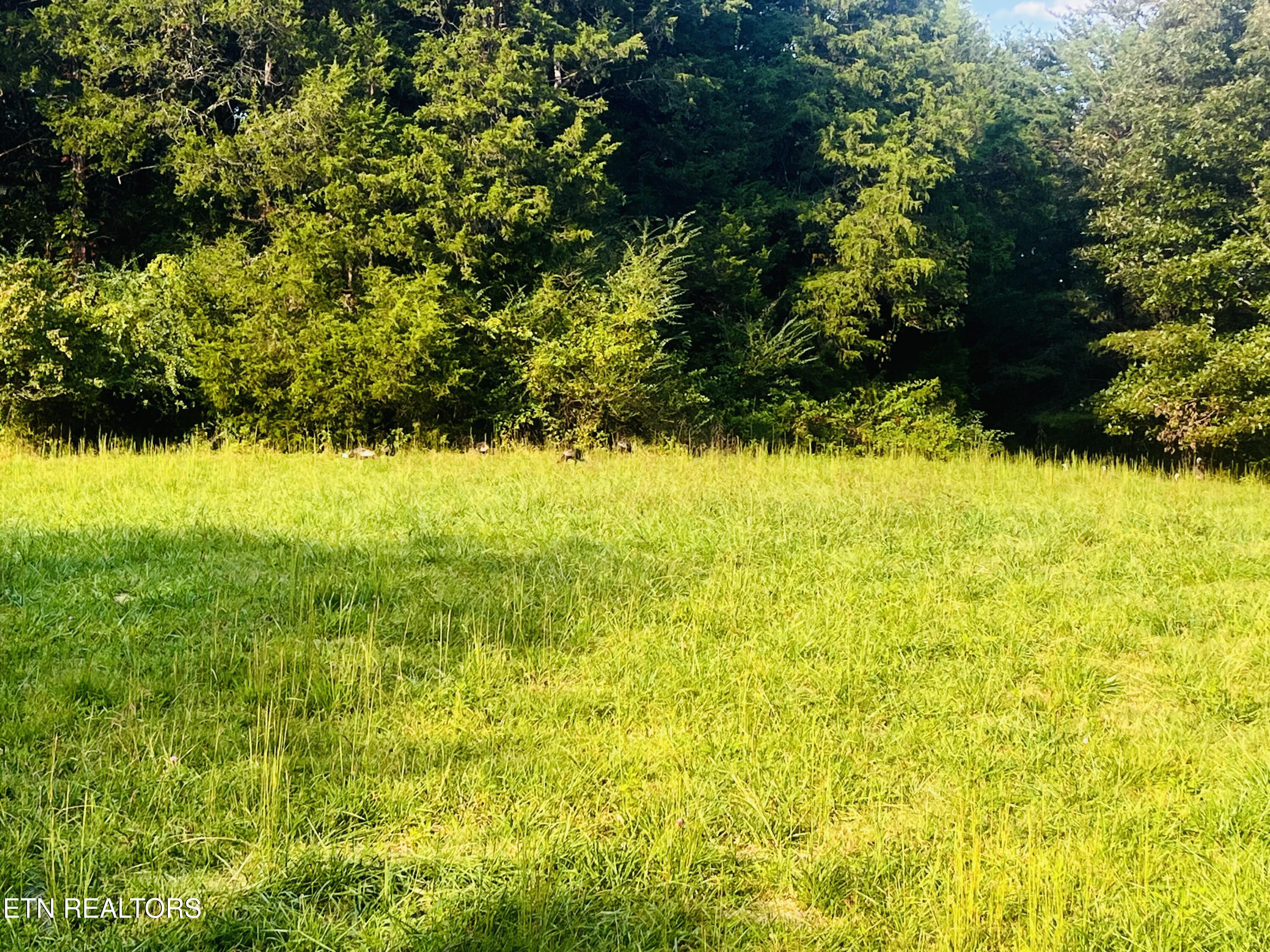 E Bullrun Valley Drive