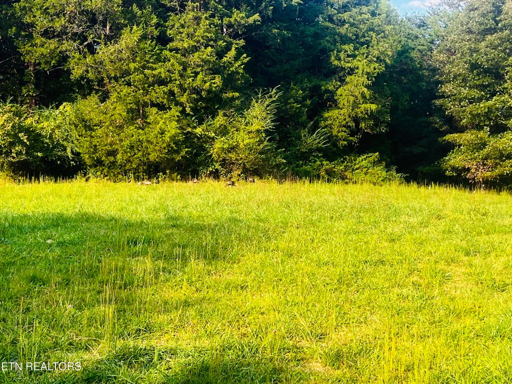 Photo of E Bullrun Valley Drive, Heiskell, TN 37754 (MLS # 1316040)