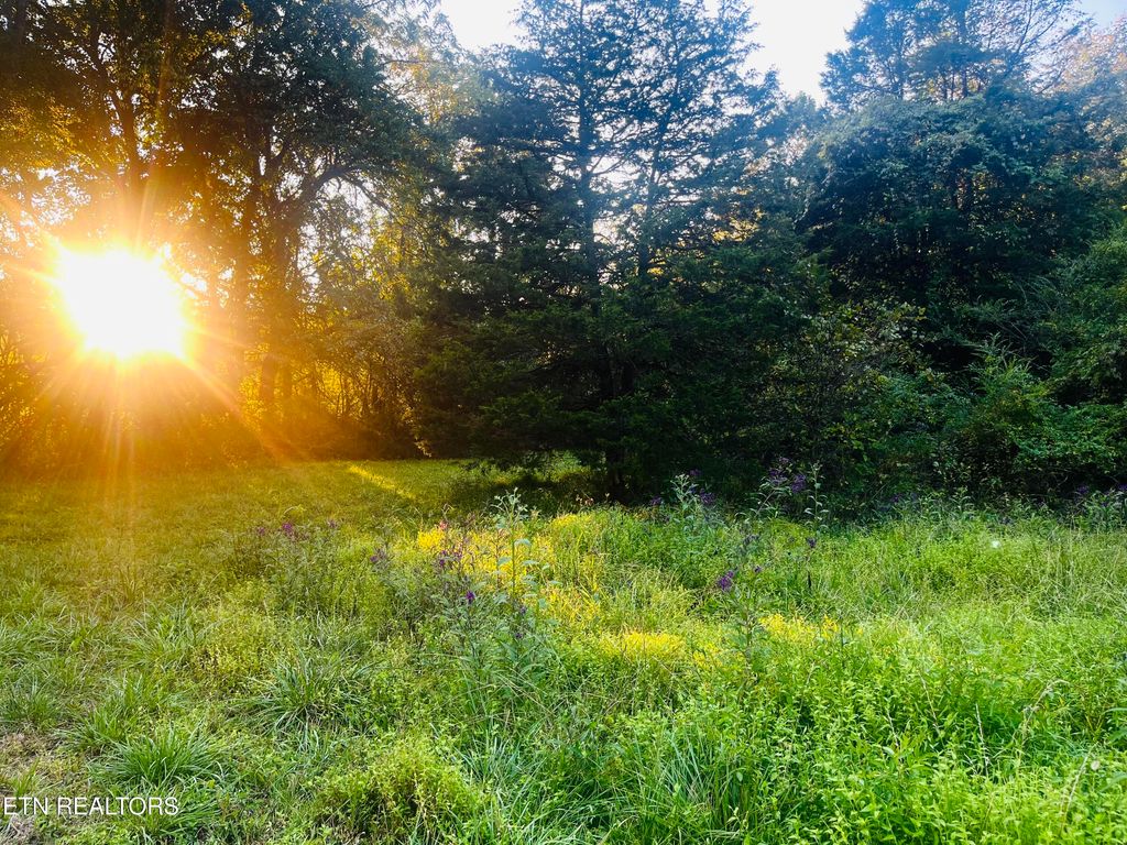 Photo of E Bullrun Valley Drive, Heiskell, TN 37754 (MLS # 1316040)