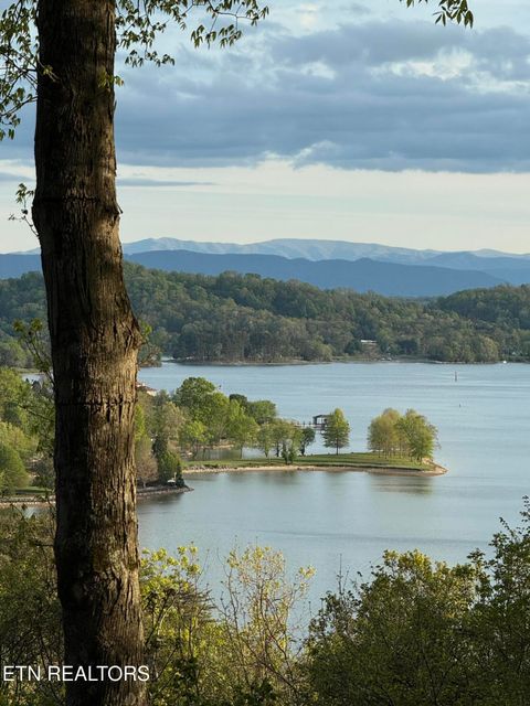 Tiny photo for 2232 Lakefront Drive, Knoxville, TN 37922 (MLS # 1337676)