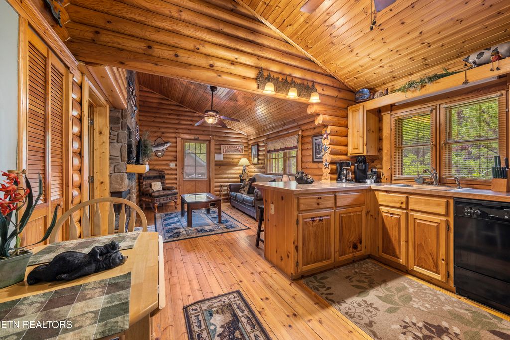 Photo of 165 Smoky Mountain Way, Sevierville, TN 37876 (MLS # 1340027)