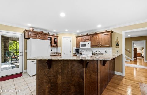 Tiny photo for 127 Ridgeland Lane, Sharps Chapel, TN 37866 (MLS # 1341920)