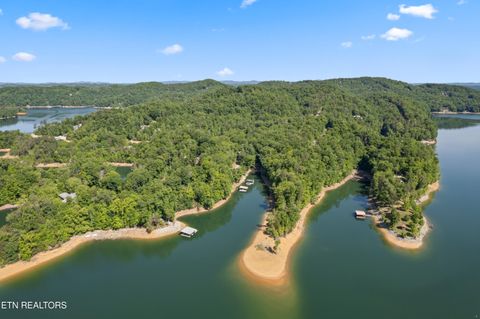 Tiny photo for 127 Ridgeland Lane, Sharps Chapel, TN 37866 (MLS # 1341920)