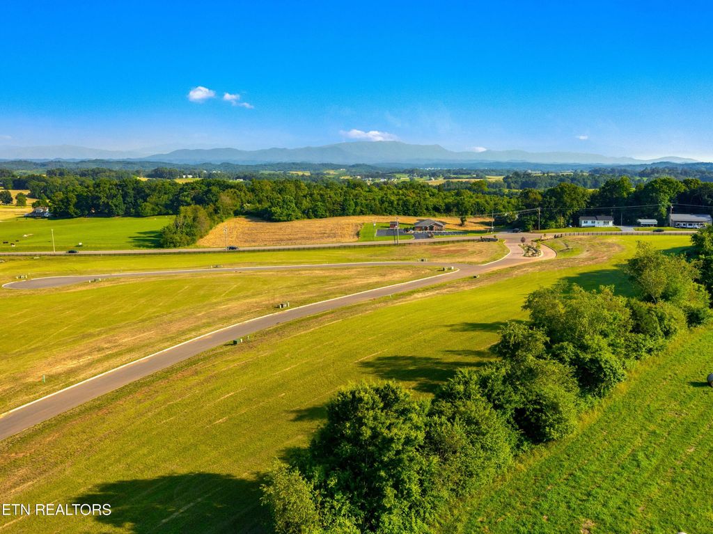 Photo of 4 Pine Meadows Drive, White Pine, TN 37890 (MLS # 1311830)