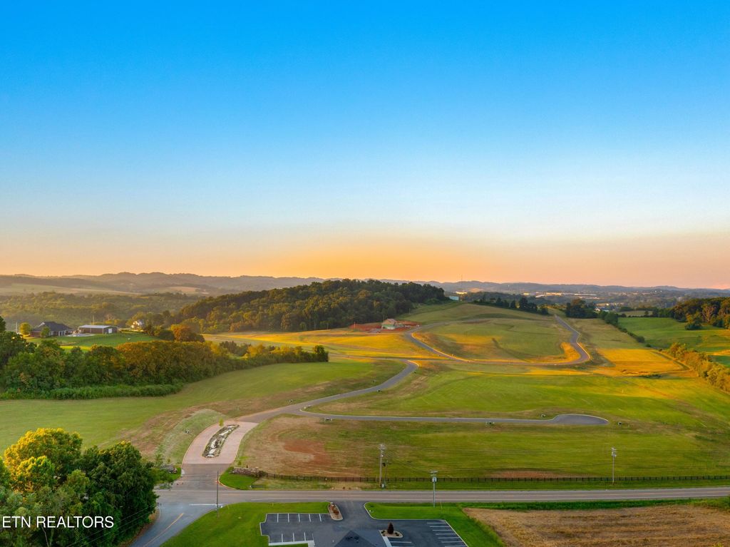 Photo of 4 Pine Meadows Drive, White Pine, TN 37890 (MLS # 1311830)