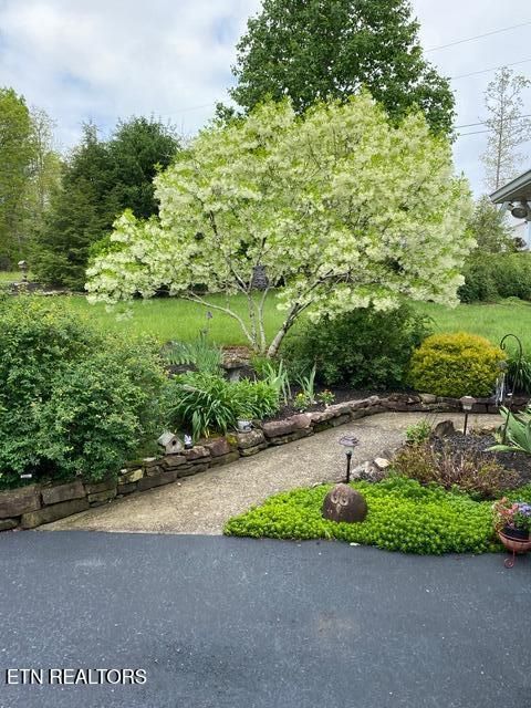 Tiny photo for 931 Modac Drive, Crossville, TN 38572 (MLS # 1334718)