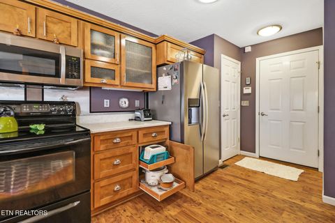 Tiny photo for 931 Modac Drive, Crossville, TN 38572 (MLS # 1334718)