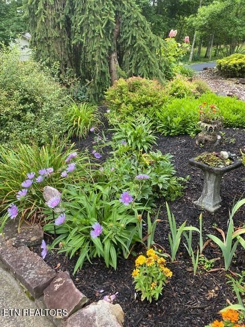 Tiny photo for 931 Modac Drive, Crossville, TN 38572 (MLS # 1334718)