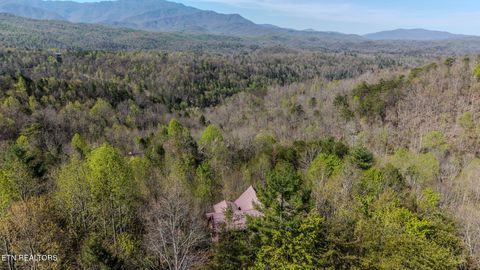 Tiny photo for 401 Pinnacle Vista Rd, Gatlinburg, TN 37738 (MLS # 1337261)
