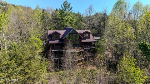 Tiny photo for 401 Pinnacle Vista Rd, Gatlinburg, TN 37738 (MLS # 1337261)