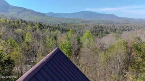 Tiny photo for 401 Pinnacle Vista Rd, Gatlinburg, TN 37738 (MLS # 1337261)