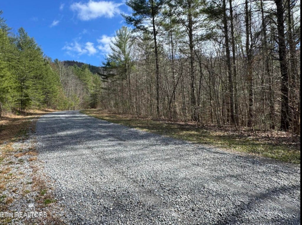 Photo of Cougar Trail Tr #18, Del Rio, TN 37727 (MLS # 1345529)