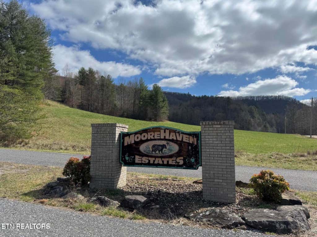 Photo of Cougar Trail Tr #18, Del Rio, TN 37727 (MLS # 1345529)