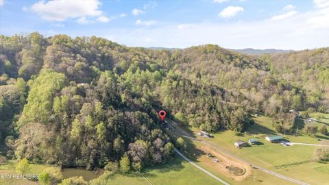 Tiny photo for 176 Humingbird Lane, Sharps Chapel, TN 37866 (MLS # 1348352)