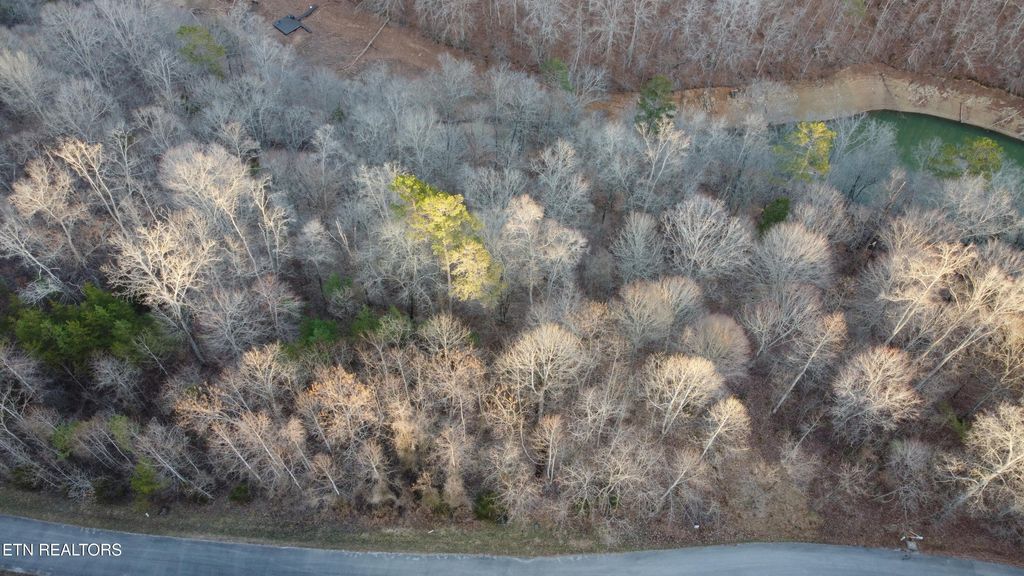 Photo of 410 Mystic Star Drive, New Tazewell, TN 37825 (MLS # 1296275)