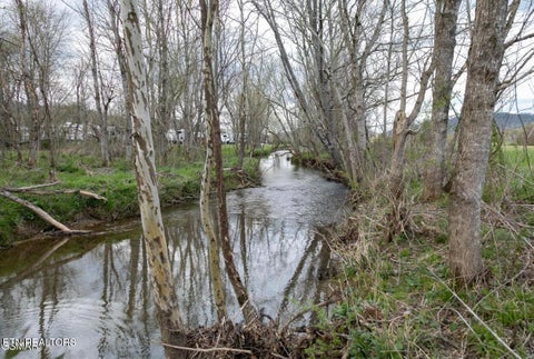 Tiny photo for Lot B Tarwater Lane, Sevierville, TN 37862 (MLS # 1359867)